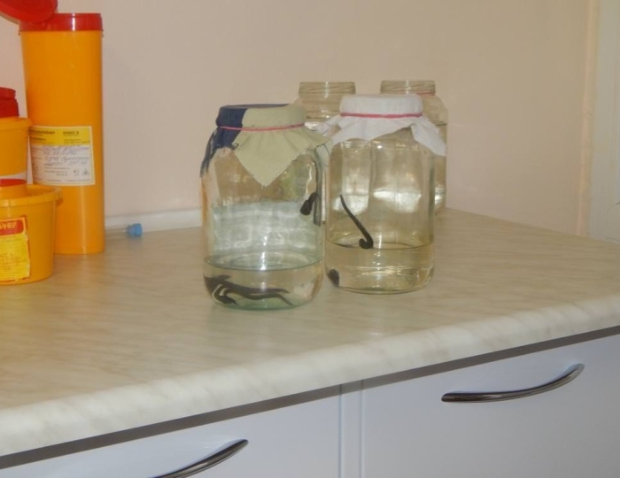 Оздоровительные услуги - Санаторий «Ислочь» Беларусь