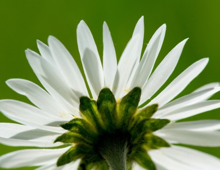 Оздоровительная - Санаторий «Ислочь» Беларусь